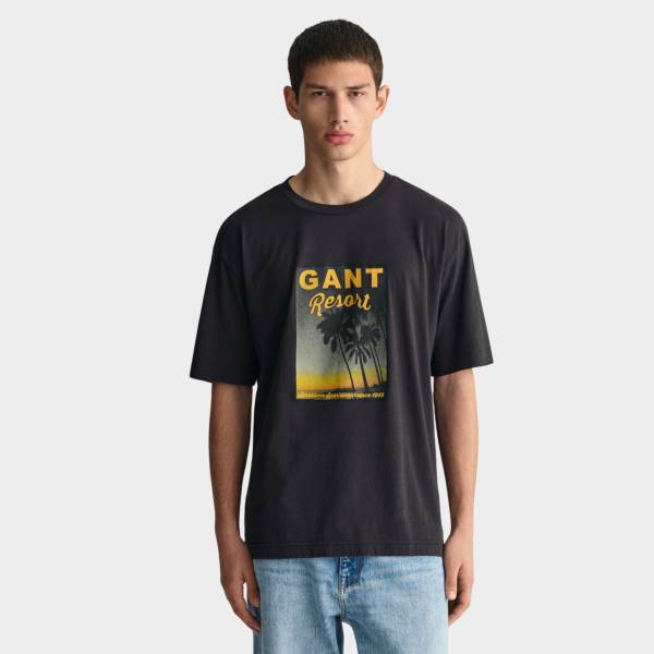 GANT WASHED GRAPHIC SS T-SHIRT